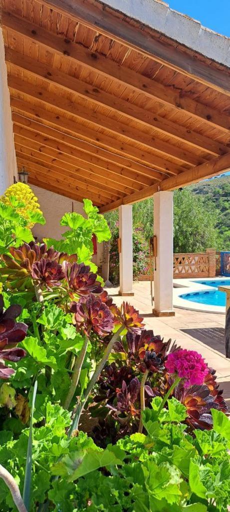 Peace And Tranquility At Montana Retreat Appartement Alora Kamer foto